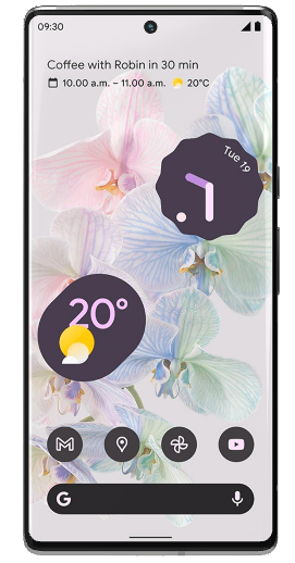 Google Pixel 6 Pro (GLUOG/G8VOU)