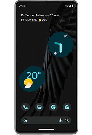 Google Pixel 7 Pro (GP4BC)