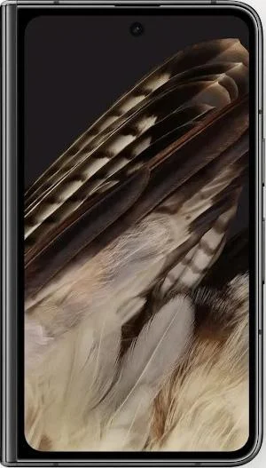 Google Pixel Fold (G9FPL)